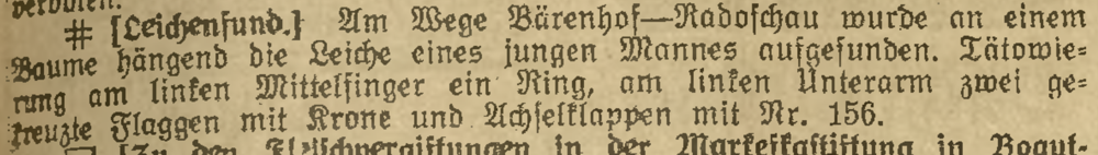 Artikel in der Oberschlesischen Volksstimme vom 6. September 1917
